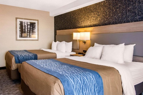 Comfort Inn Aeroport image 14