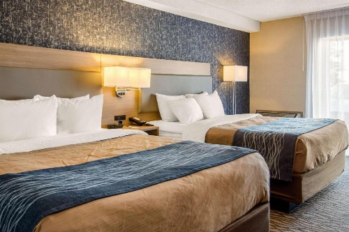 Comfort Inn Aeroport image 16